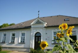 Výuka ZŠ Pohledec 1. – 4. ročník